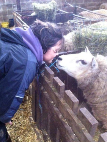 farm holidays - Meet the sheep - Woman and sheep touching noses